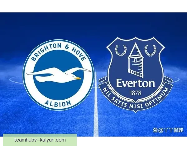 荷兰对阵阿根廷九十分钟鏖战全解析战术博弈与关键瞬间回顾精选解